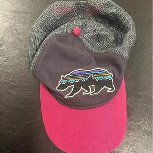 Patagonia Trucker Hat